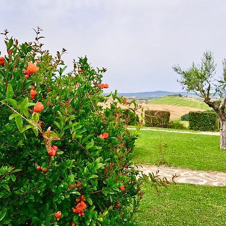 Agriturismo Caliano Asciano Exterior photo