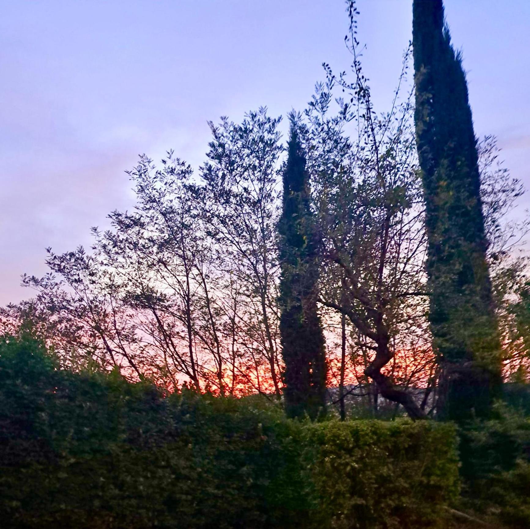 Agriturismo Caliano Asciano Exterior photo