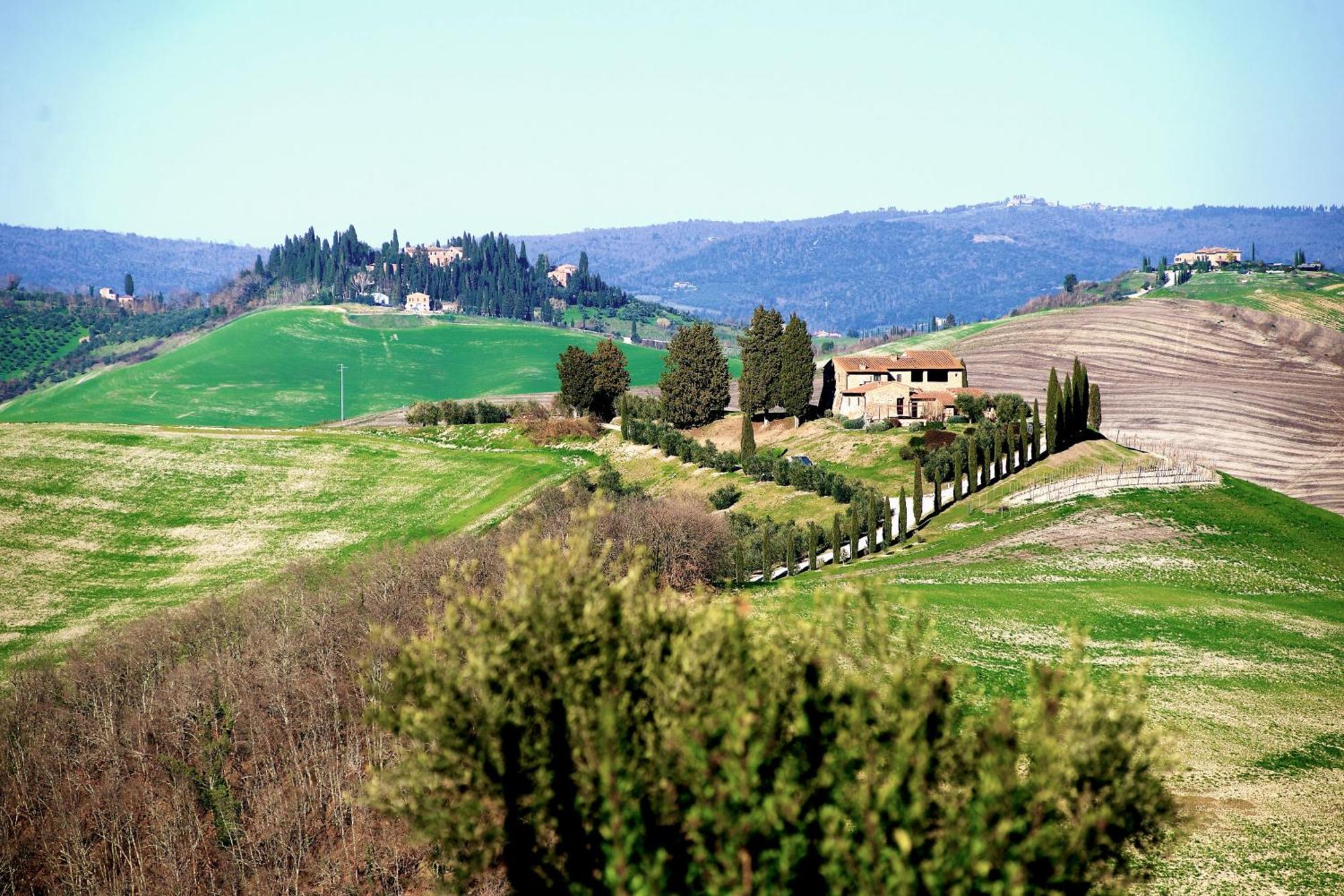 Agriturismo Caliano Asciano Exterior photo