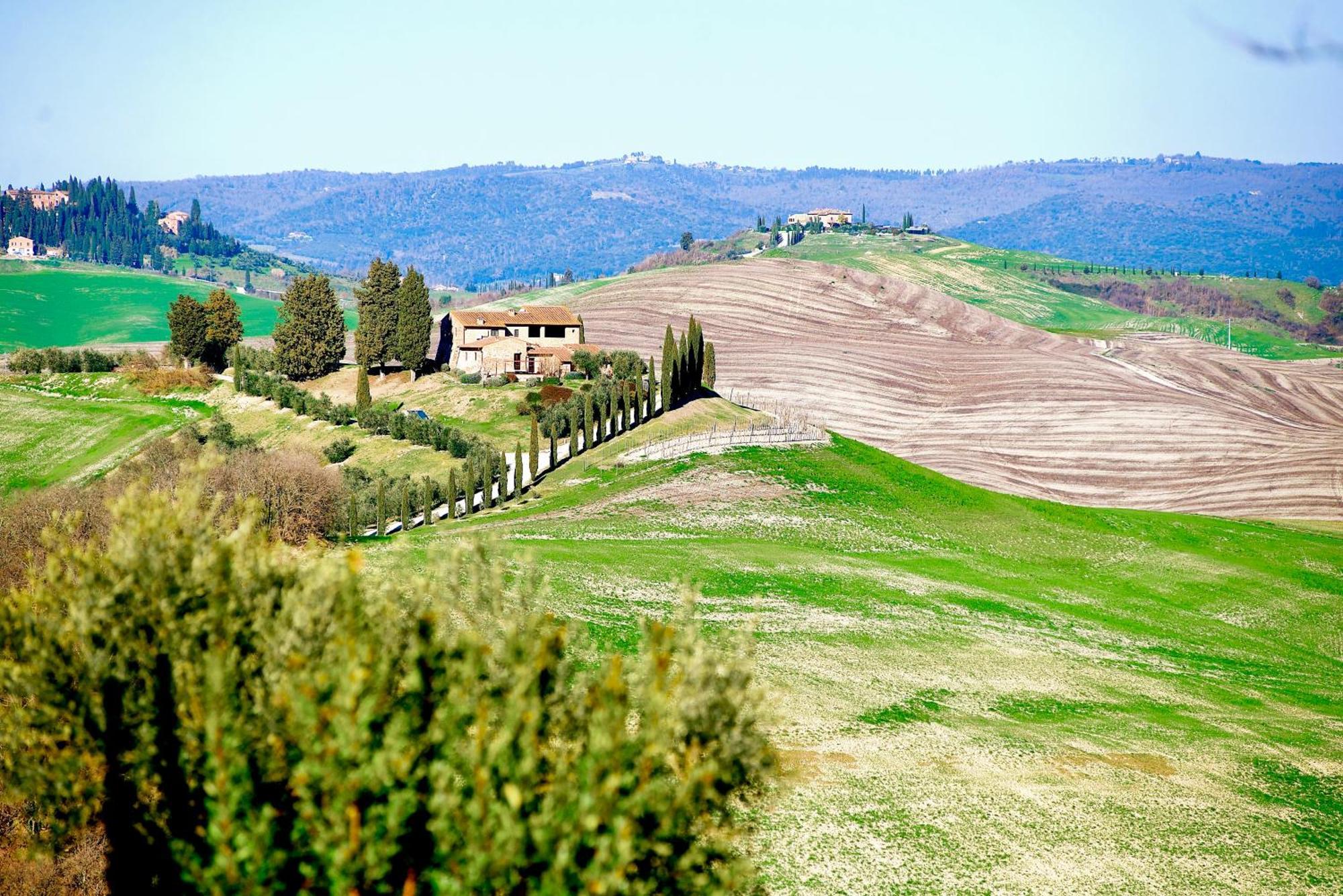 Agriturismo Caliano Asciano Exterior photo