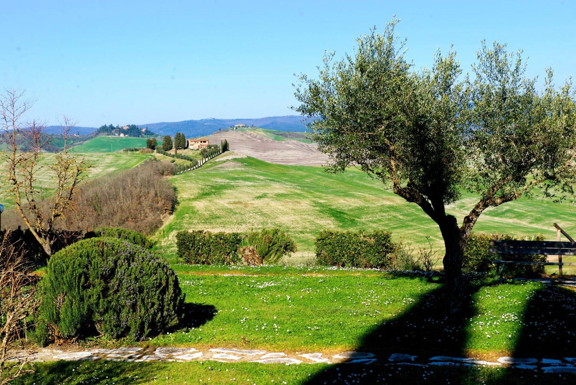 Agriturismo Caliano Asciano Exterior photo